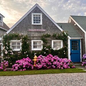 Meet your Posher, Shannon